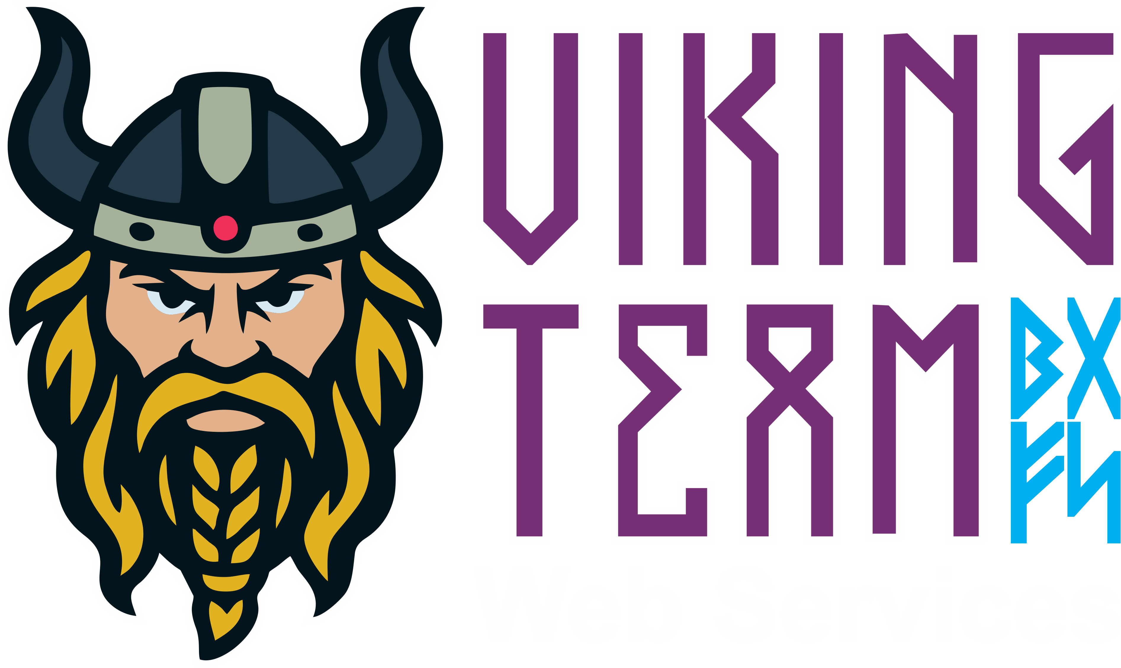 Viking Team Web Services